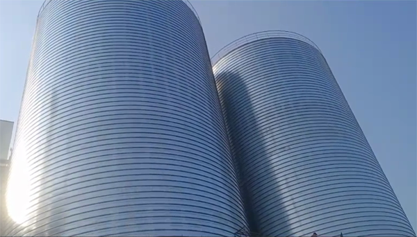 甘肃2座混凝土高架卷板仓